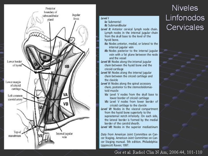 Diapositiva 9 de Estudio de Masas Cervicales