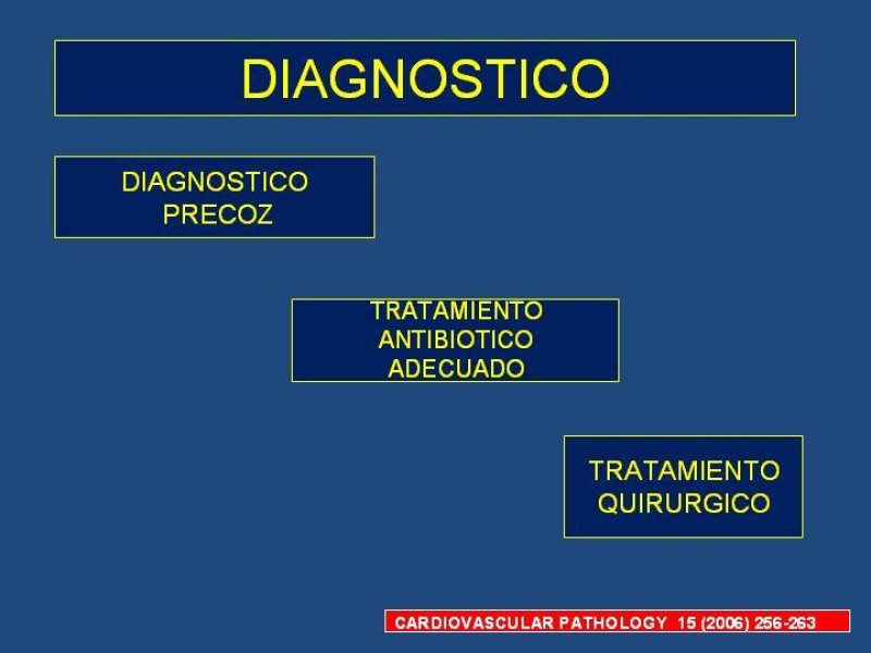 Diapositiva 6 de Endocarditis Infecciosa