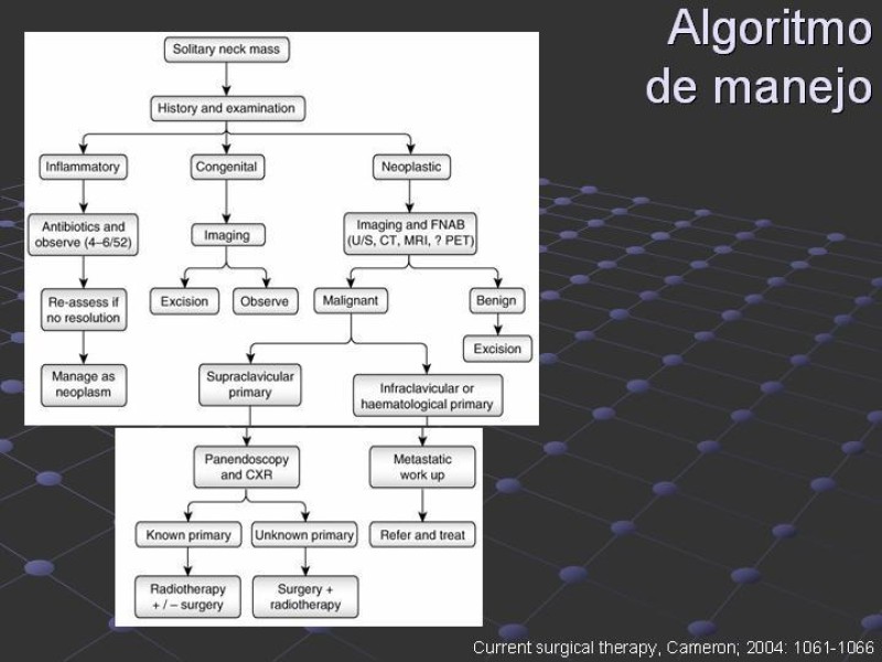 Diapositiva 15 de Estudio de Masas Cervicales