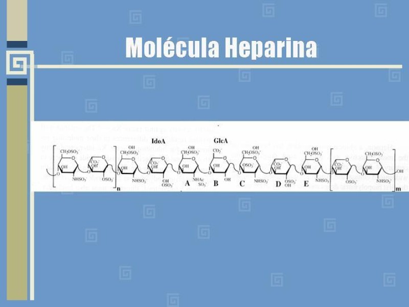 Diapositiva 3 de Heparinas