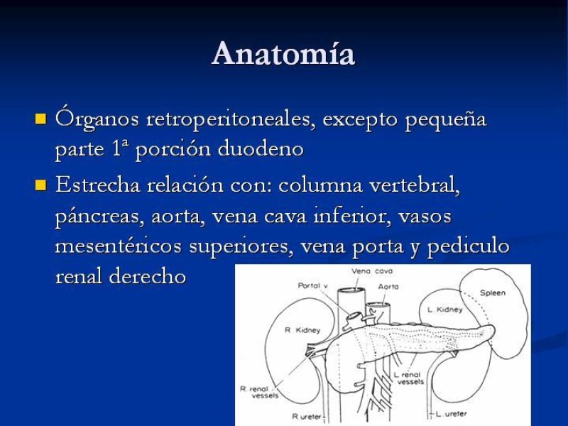 Diapositiva 5 de Trauma Pancreato-duodenal