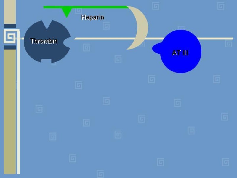 Diapositiva 6 de Heparinas
