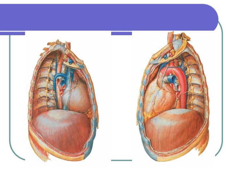 Diapositiva 14 de Simpatectomía Torácica