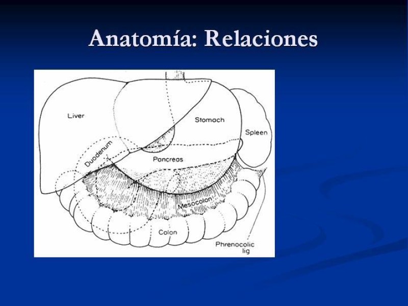 Diapositiva 6 de Trauma Pancreato-duodenal