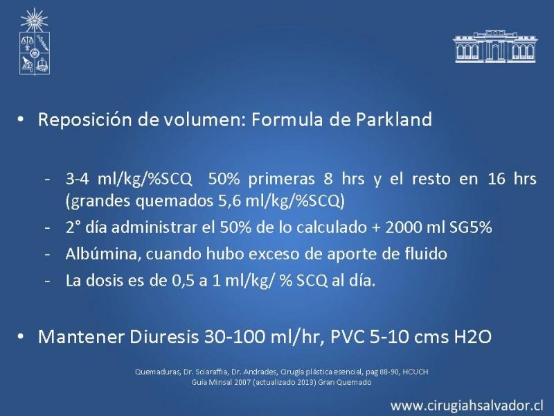 Diapositiva 19 de Gran Quemado Manejo Primeras 24 hrs