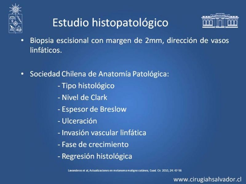 Diapositiva 11 de Estudio, diagnóstico y clasificación del Melanoma
