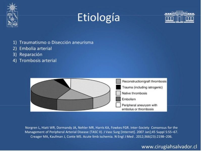 Diapositiva 3 de Isquemia Aguda