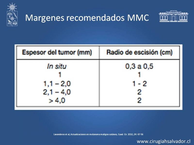 Diapositiva 28 de Estudio, diagnóstico y clasificación del Melanoma