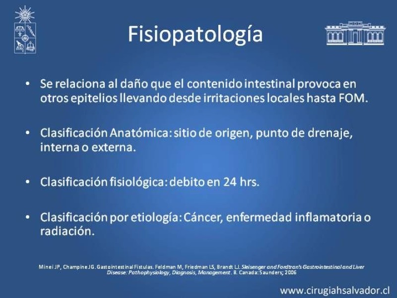 Diapositiva 2 de Fistulas Intestinales