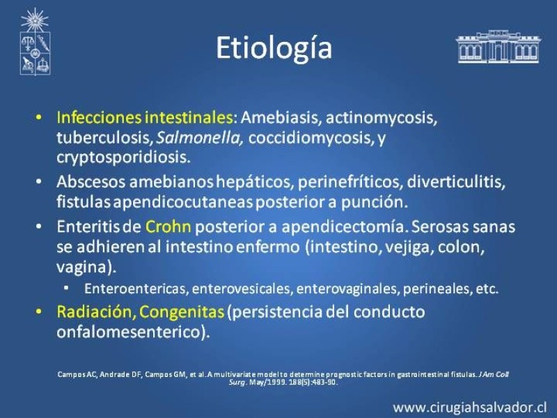 Diapositiva 4 de Fistulas Intestinales
