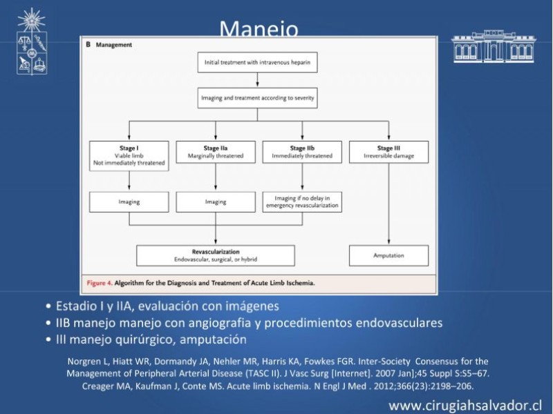 Diapositiva 9 de Isquemia Aguda