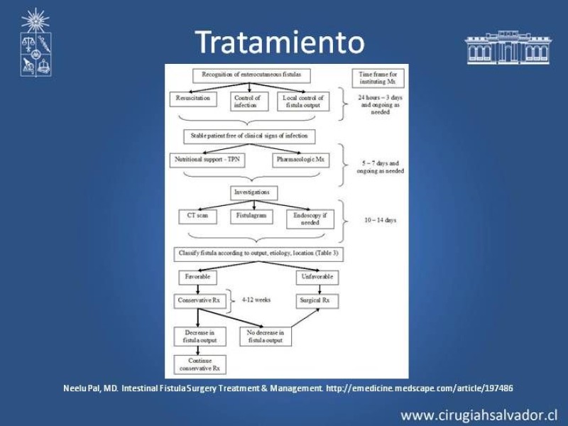 Diapositiva 15 de Fistulas Intestinales