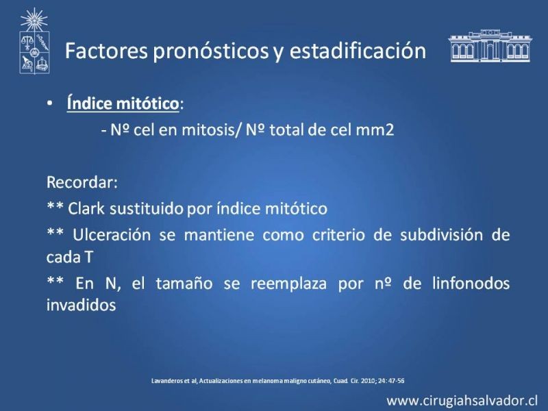 Diapositiva 19 de Estudio, diagnóstico y clasificación del Melanoma