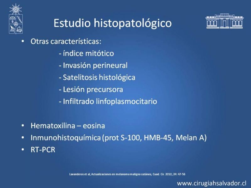 Diapositiva 12 de Estudio, diagnóstico y clasificación del Melanoma