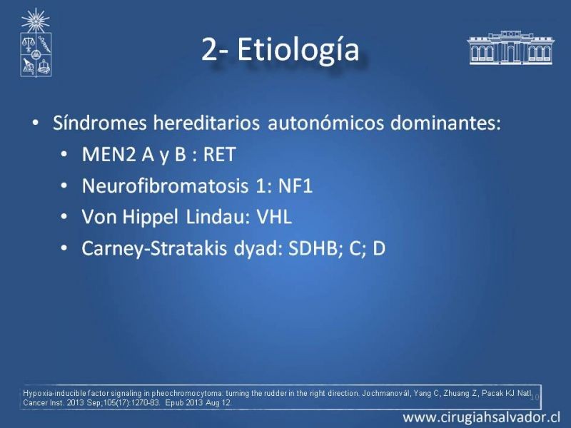 Diapositiva 9 de Paraganglioma cervical
