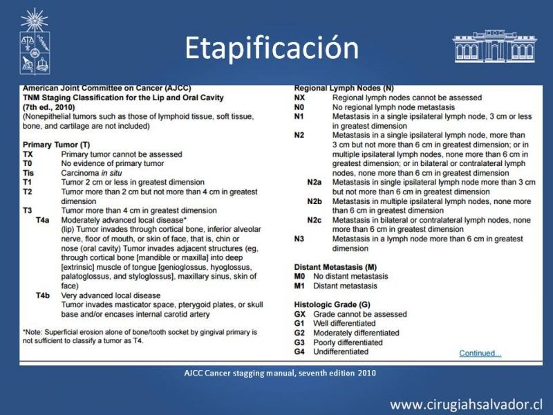 Diapositiva 8 de Cáncer de amígdala (Tonsila palatina)