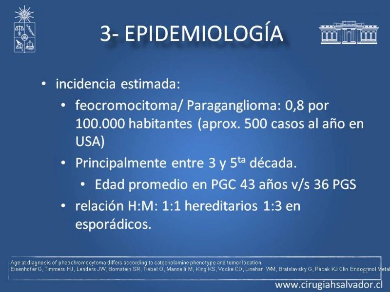 Diapositiva 10 de Paraganglioma cervical