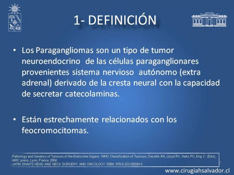 Diapositiva 2 de Paraganglioma cervical