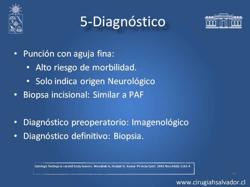 Diapositiva 17 de Paraganglioma cervical