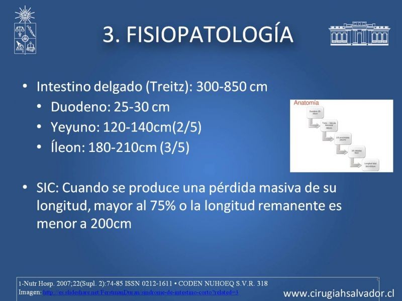 Diapositiva 5 de Sindrome intestino corto