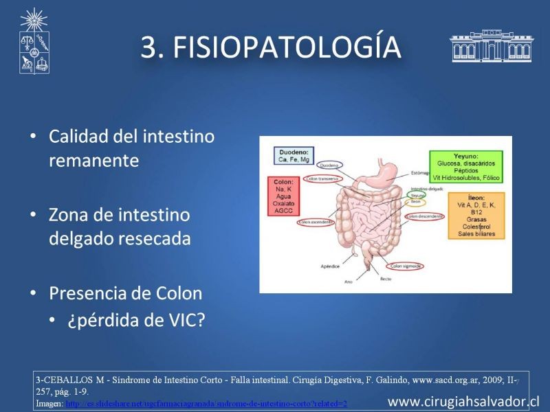 Diapositiva 6 de Sindrome intestino corto