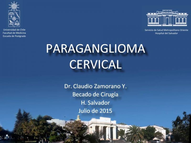 Diapositiva 31 de Paraganglioma cervical