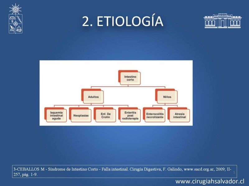 Diapositiva 4 de Sindrome intestino corto
