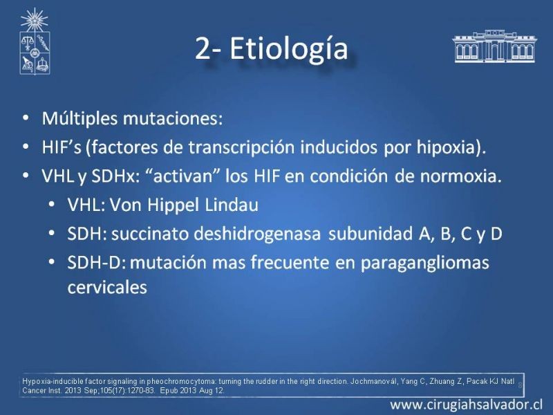 Diapositiva 7 de Paraganglioma cervical