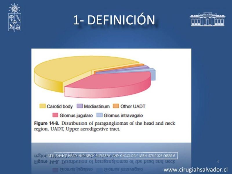 Diapositiva 5 de Paraganglioma cervical
