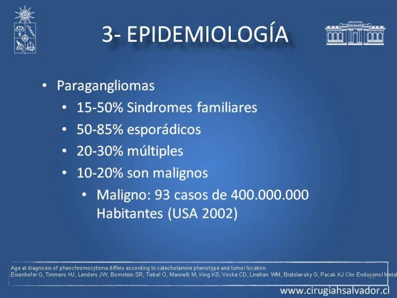 Diapositiva 11 de Paraganglioma cervical