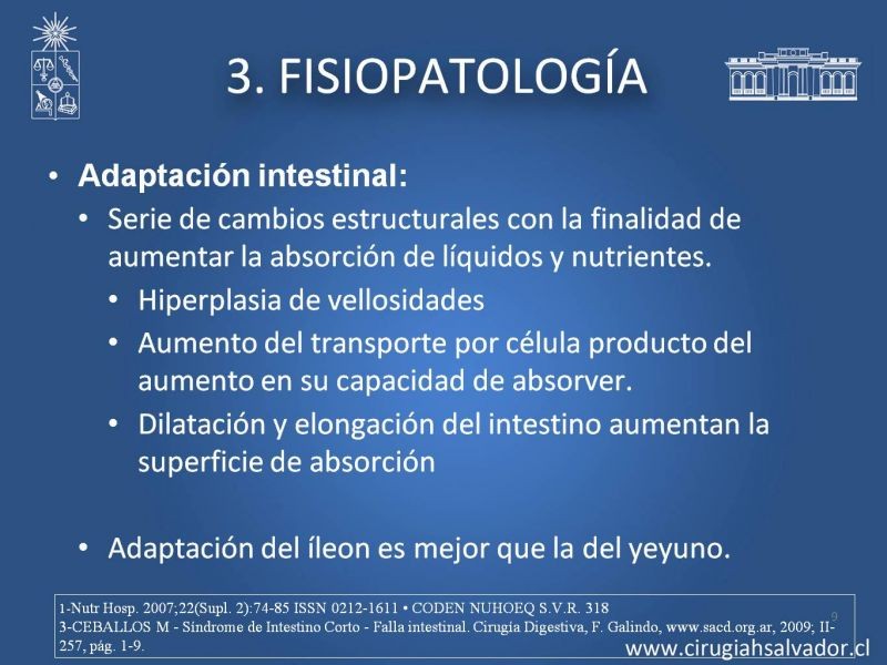 Diapositiva 8 de Sindrome intestino corto