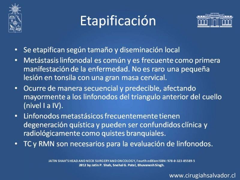 Diapositiva 6 de Cáncer de amígdala (Tonsila palatina)