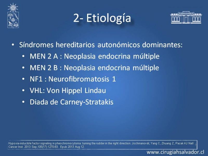 Diapositiva 8 de Paraganglioma cervical