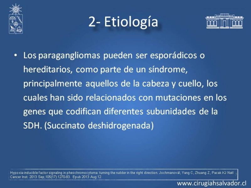 Diapositiva 6 de Paraganglioma cervical