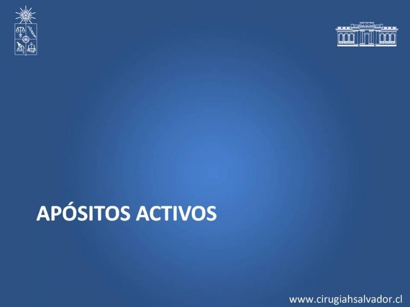 Diapositiva 14 de Curación Avanzada de Heridas