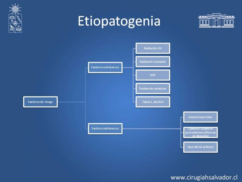 Diapositiva 3 de Ganglio centinela en Cáncer Espinocelular