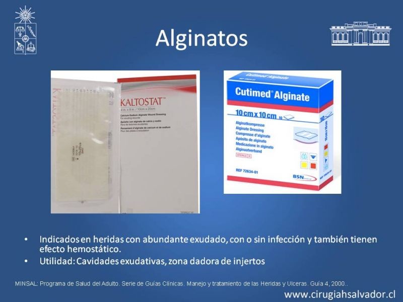 Diapositiva 19 de Curación Avanzada de Heridas