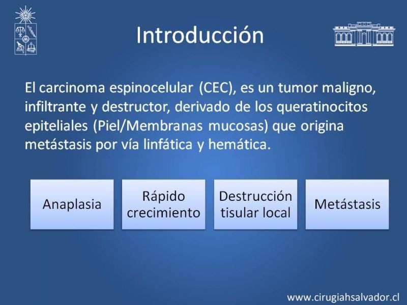 Diapositiva 2 de Ganglio centinela en Cáncer Espinocelular