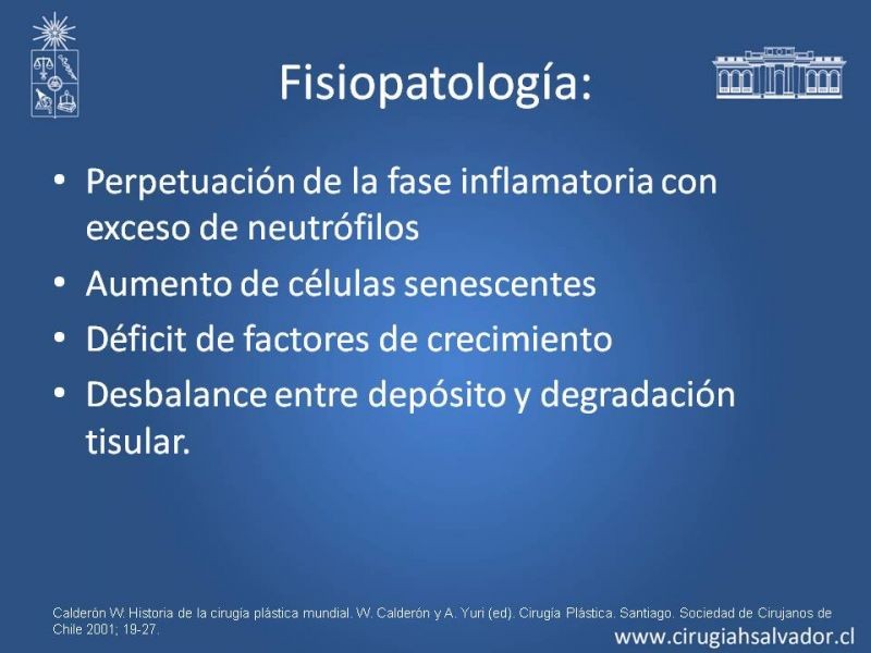 Diapositiva 4 de Curación Avanzada de Heridas