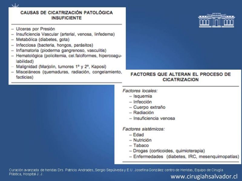 Diapositiva 5 de Curación Avanzada de Heridas