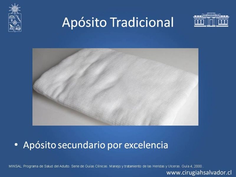 Diapositiva 12 de Curación Avanzada de Heridas