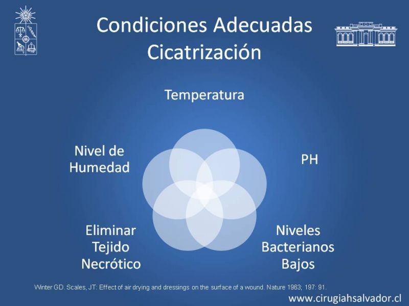 Diapositiva 7 de Curación Avanzada de Heridas