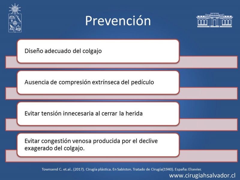 Diapositiva 11 de Monitorización de colgajos