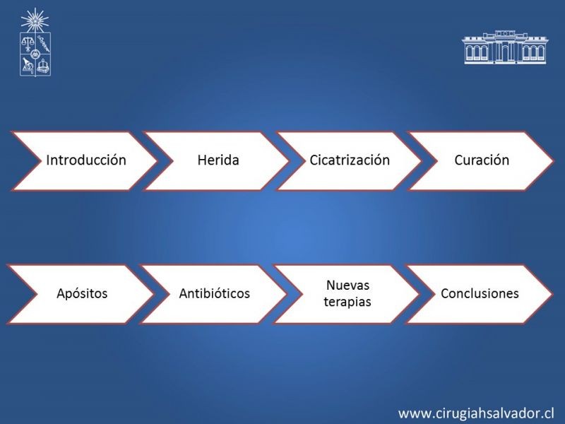 Diapositiva 3 de Curación avanzada de heridas
