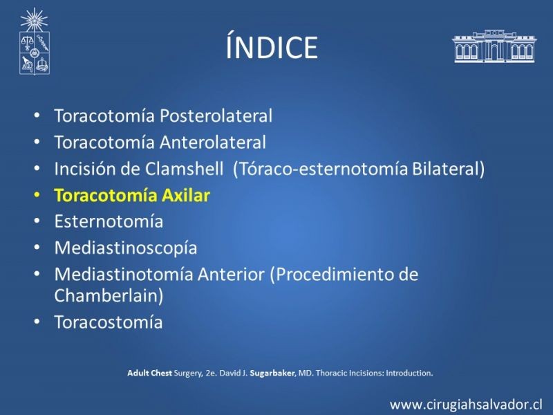 Diapositiva 38 de Accesos quirúrgicos torácicos