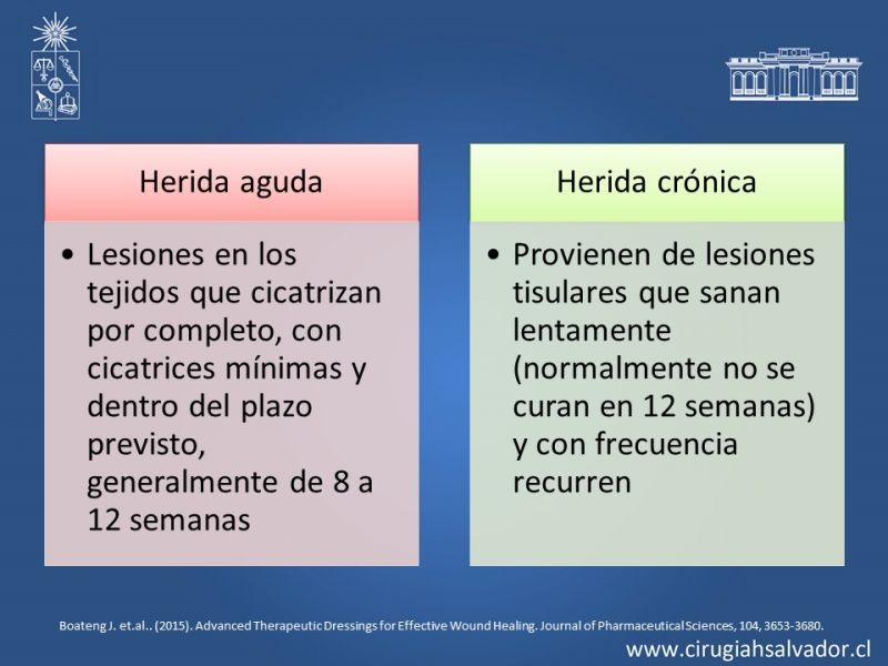 Diapositiva 6 de Curación avanzada de heridas