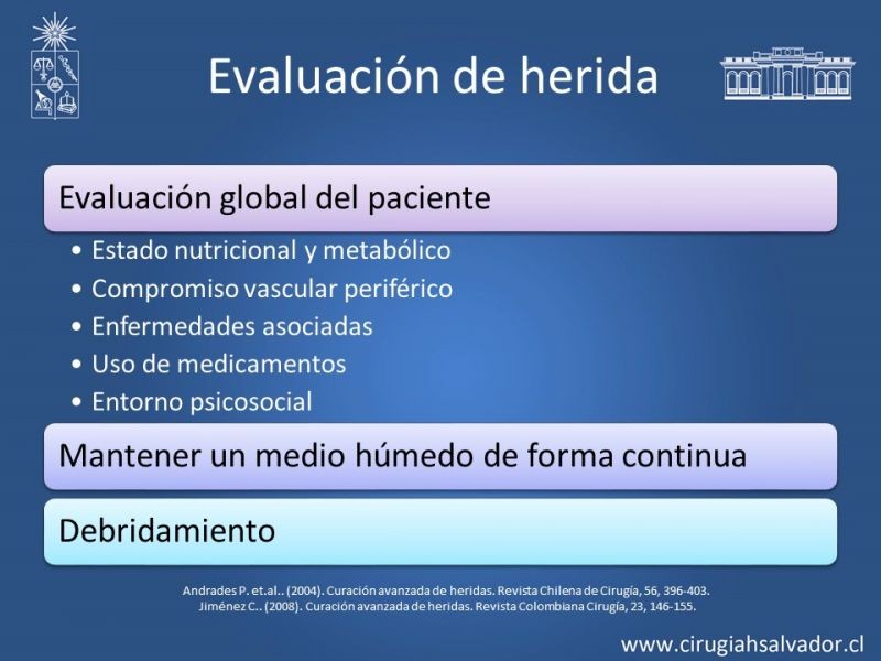 Diapositiva 7 de Curación avanzada de heridas