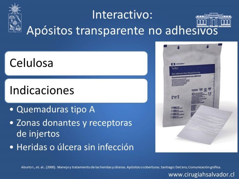 Diapositiva 24 de Curación avanzada de heridas
