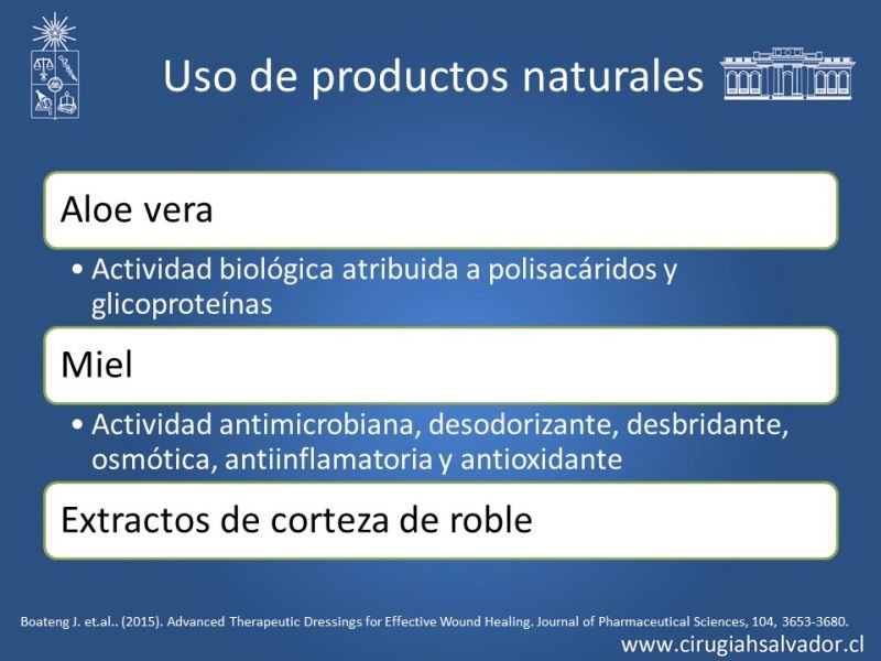 Diapositiva 20 de Curación avanzada de heridas