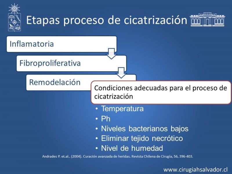 Diapositiva 9 de Curación avanzada de heridas